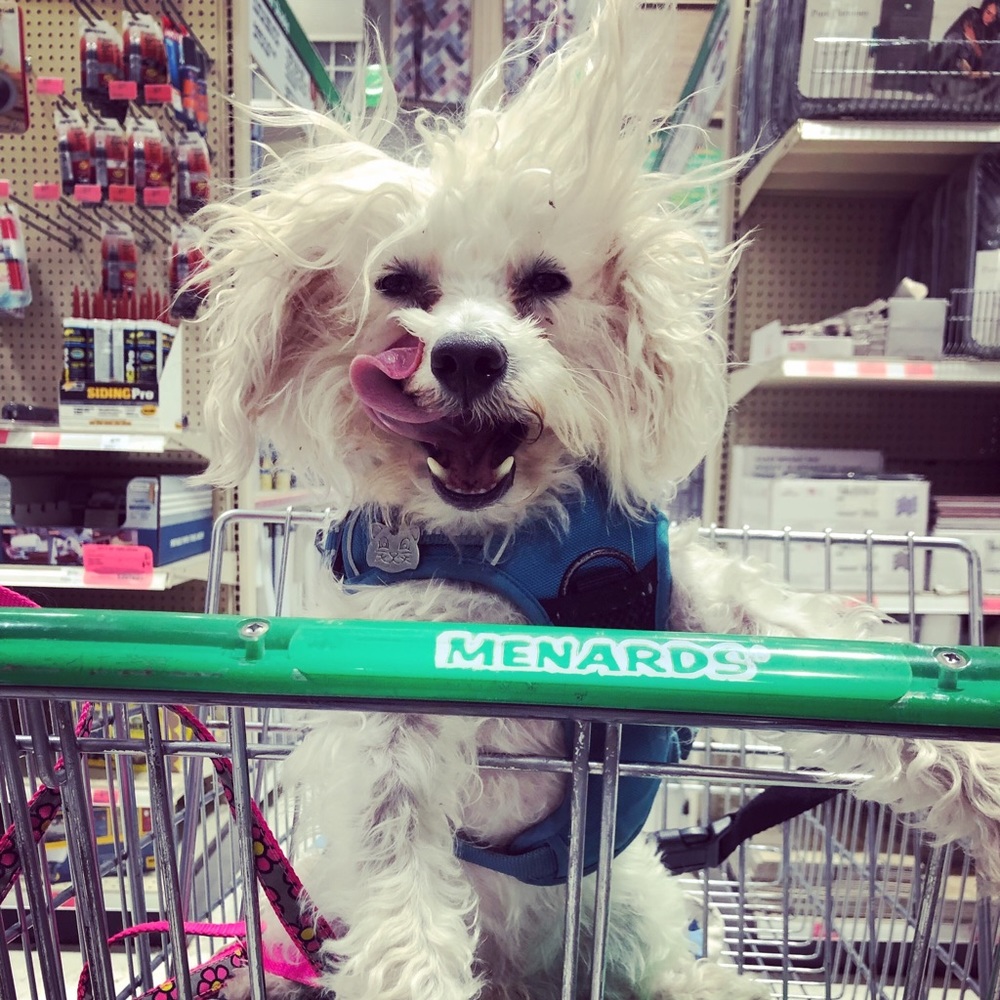 Meet your Posher, Jennifer